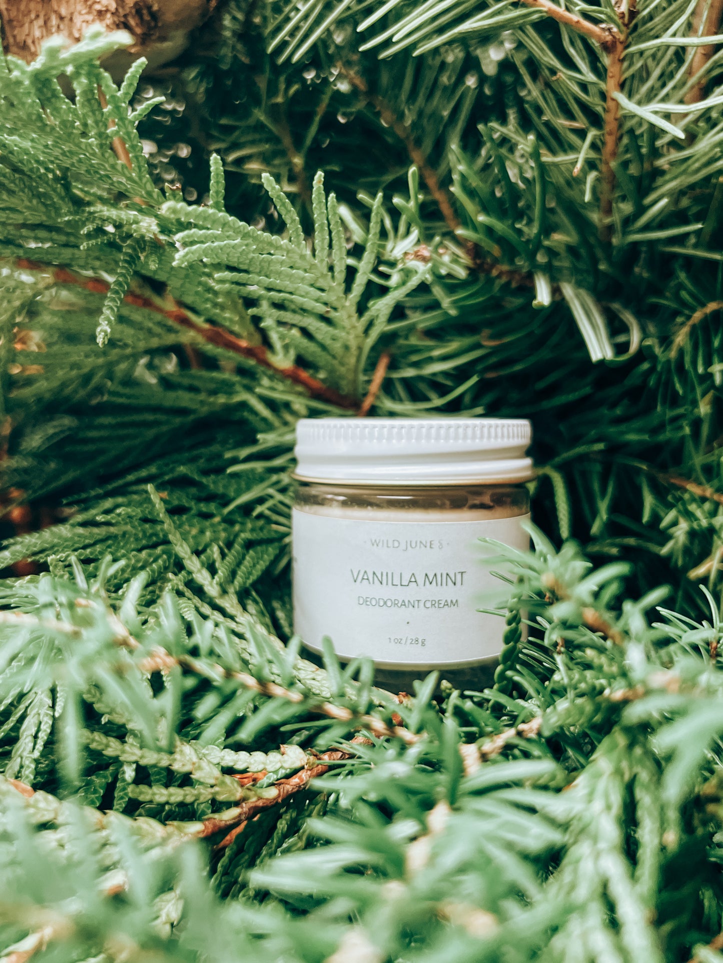 VANILLA MINT MINI DEODORANT CREAM